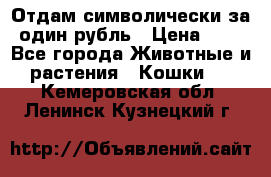 Отдам символически за один рубль › Цена ­ 1 - Все города Животные и растения » Кошки   . Кемеровская обл.,Ленинск-Кузнецкий г.